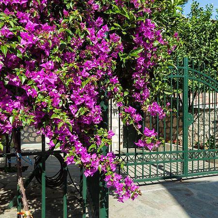Xenios Loutra Village Mary'S House Aya Paraskevi Dış mekan fotoğraf
